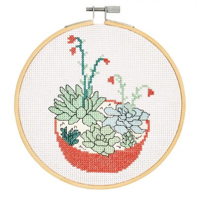 IND SUCCULENTS CCS KIT 15CM ROUND PK3