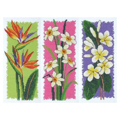 BLOOMING BUDDIES CS 3X12X25CM