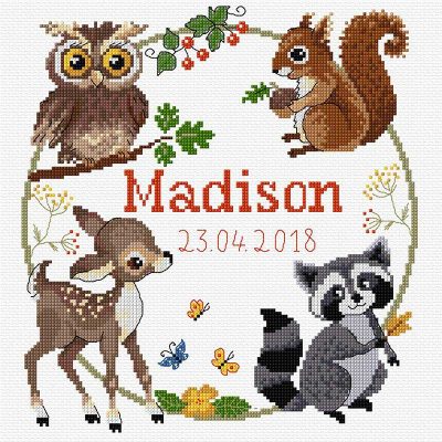 DMC BIRTH SAMPLER CCS 23X23CM