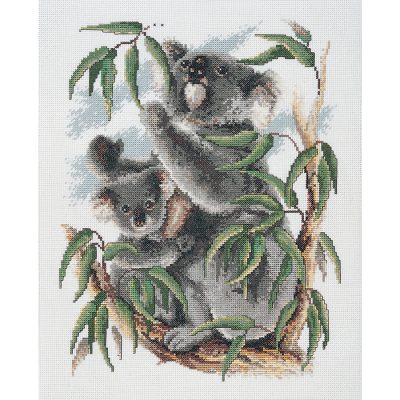 KOALAS CS 28X35.5CM