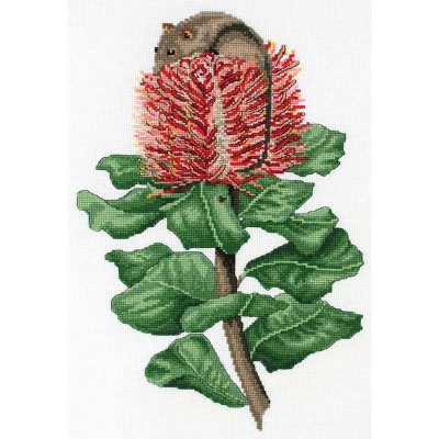 HW HONEY POSSUM & SCARLET BANK