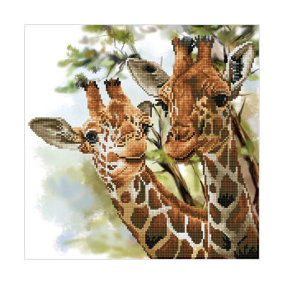 DIAMOND DOTZ TALL AND  TENDER